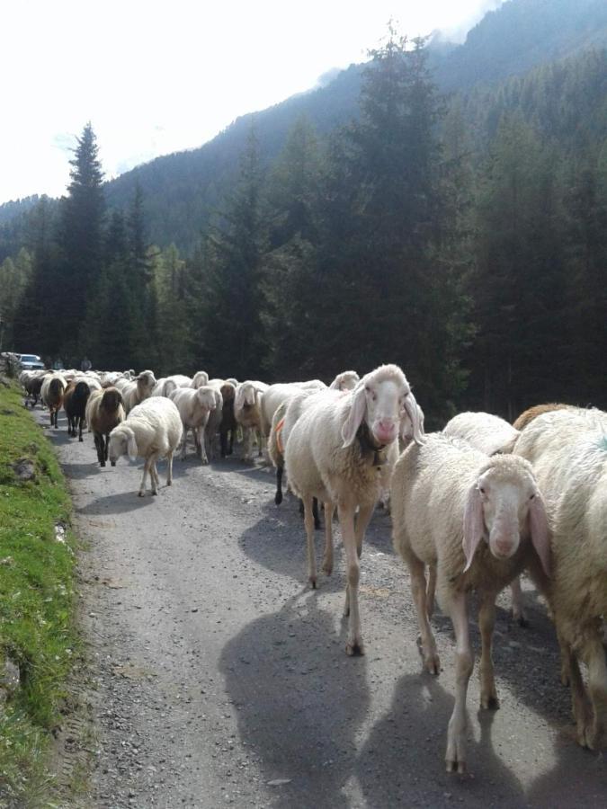 Apart-Hoamatgfuehl Daire Längenfeld Dış mekan fotoğraf